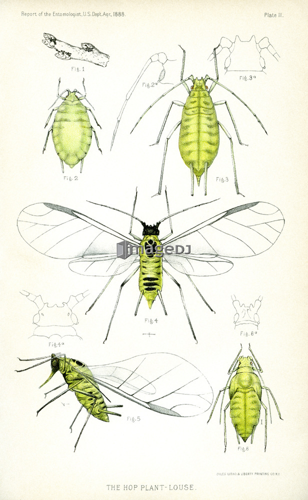 &nbsp;<span style='color:white;background-color:red;border-radius:3px;font-weight:bold;font-size:0.8rem;font-family:Tahoma'>&nbsp;RM&nbsp;</span>&nbsp;<span style='color:black;font-size:0.9rem;font-weight:normal;'>&nbsp;ID:jtv007634&nbsp;</span>