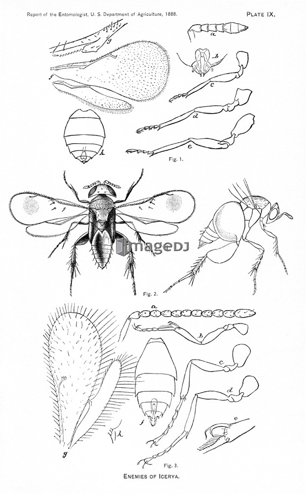 &nbsp;<span style='color:white;background-color:red;border-radius:3px;font-weight:bold;font-size:0.8rem;font-family:Tahoma'>&nbsp;RM&nbsp;</span>&nbsp;<span style='color:black;font-size:0.9rem;font-weight:normal;'>&nbsp;ID:jtv007638&nbsp;</span>