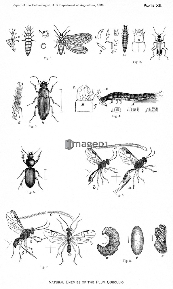 &nbsp;<span style='color:white;background-color:red;border-radius:3px;font-weight:bold;font-size:0.8rem;font-family:Tahoma'>&nbsp;RM&nbsp;</span>&nbsp;<span style='color:black;font-size:0.9rem;font-weight:normal;'>&nbsp;ID:jtv007641&nbsp;</span>