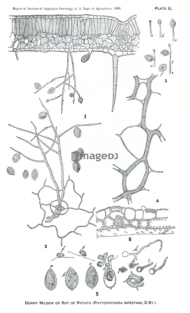 &nbsp;<span style='color:white;background-color:red;border-radius:3px;font-weight:bold;font-size:0.8rem;font-family:Tahoma'>&nbsp;RM&nbsp;</span>&nbsp;<span style='color:black;font-size:0.9rem;font-weight:normal;'>&nbsp;ID:jtv007656&nbsp;</span>