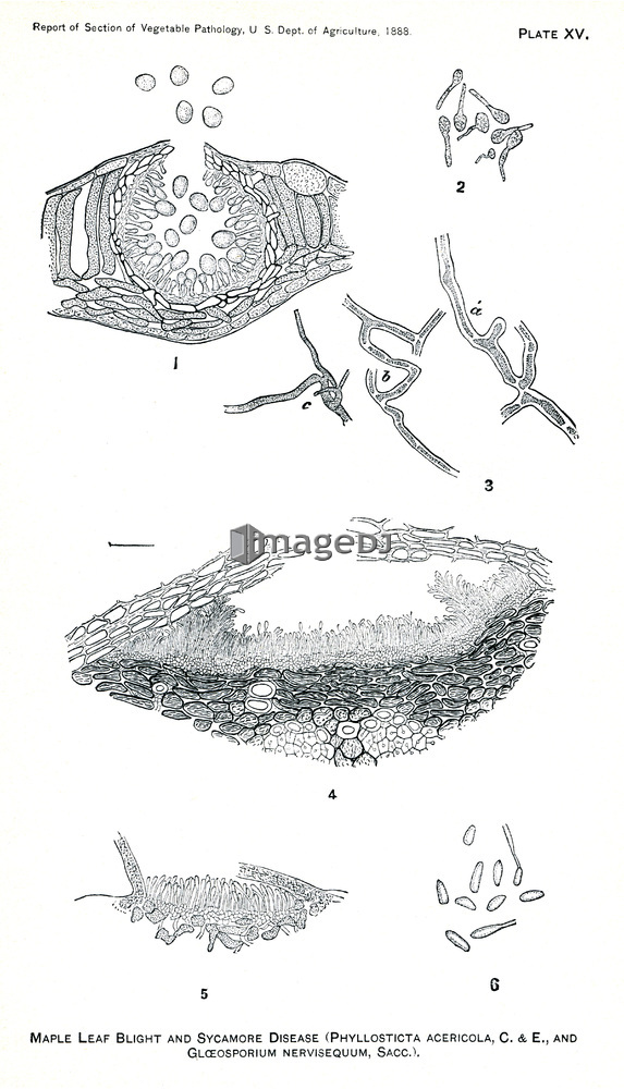 &nbsp;<span style='color:white;background-color:red;border-radius:3px;font-weight:bold;font-size:0.8rem;font-family:Tahoma'>&nbsp;RM&nbsp;</span>&nbsp;<span style='color:black;font-size:0.9rem;font-weight:normal;'>&nbsp;ID:jtv007669&nbsp;</span>