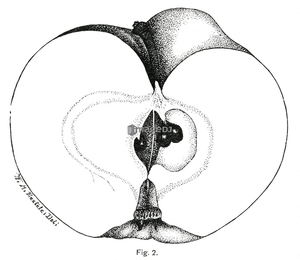 &nbsp;<span style='color:white;background-color:red;border-radius:3px;font-weight:bold;font-size:0.8rem;font-family:Tahoma'>&nbsp;RM&nbsp;</span>&nbsp;<span style='color:black;font-size:0.9rem;font-weight:normal;'>&nbsp;ID:jtv007689&nbsp;</span>