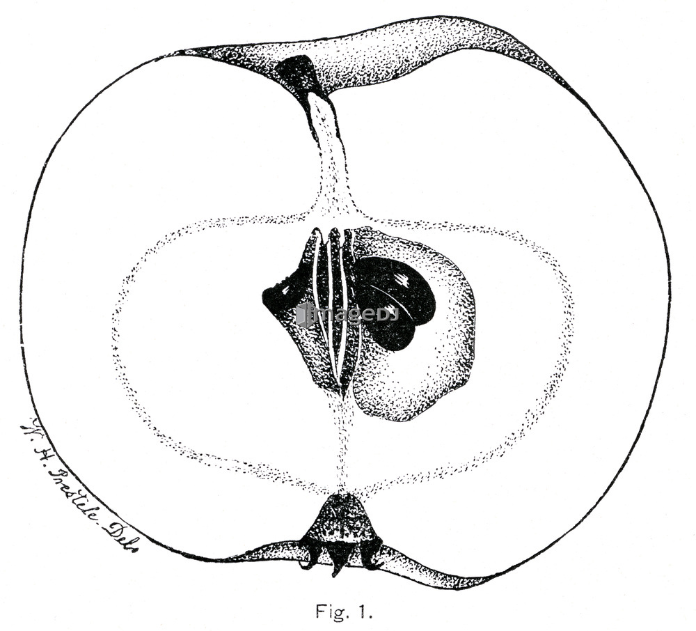 &nbsp;<span style='color:white;background-color:red;border-radius:3px;font-weight:bold;font-size:0.8rem;font-family:Tahoma'>&nbsp;RM&nbsp;</span>&nbsp;<span style='color:black;font-size:0.9rem;font-weight:normal;'>&nbsp;ID:jtv007691&nbsp;</span>